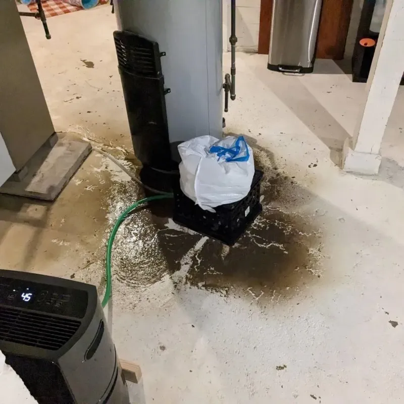Sewage Backup Cleanup Service in Harrisburg, OR